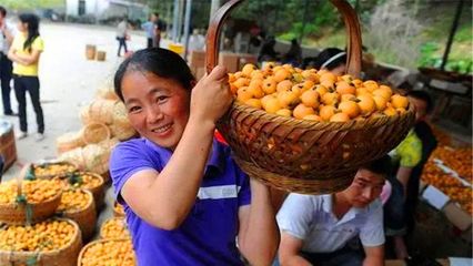 网上销售农产品 农民致富的新路径