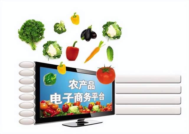 甘肃省静宁县电子商务进农村综合示范项目 网上销售农产品的新篇章