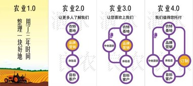 数字时代新机遇 万份滴滴红包、互联网大会与农产品电商的融合创新