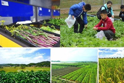 电商新蓝海 管理员如何打造高效的农产品网上销售空间