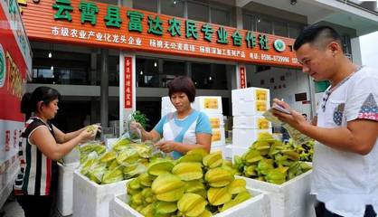 云霄县下河乡下河村 借力“省级乡村振兴试点”东风，铺就农产品网上销售新路径