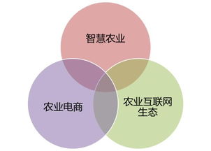 诚信保障体系上线 惠农网会成为新农业的样本吗？