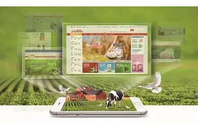 农旅融合与电商蓝海 解锁现代农业新业态的双重引擎