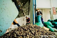 破解农产品上行困局 拼多多的电商创新实践